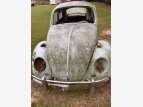 Thumbnail Photo 0 for 1965 Volkswagen Beetle